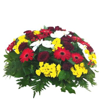 COUSSIN ROND