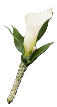 BOUTONNIERE